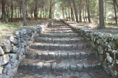 La Via del Mosto
