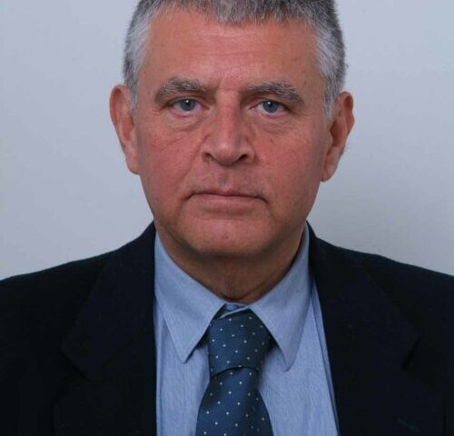 Associazione Culturale “MEDITERRANEUM, Webmaster Portale Comune di Catania, Realizzazione, come “Web-master” di alcuni siti: “Neurologia Osp.Cannizzaro”, Siciliana Lavica s.r.l.”, “Eliografia Etna”, Pittrice Erika Weinmann, Biblioteche Riunite Ursino e Recupero (Compresa Sezione Amministrazione Trasparente),